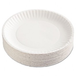 Uncoated Paper Plates, 9 Inches, White, Round, 100/Pack