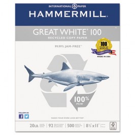 Great White 100 Recycled Copy Paper, 20lb, 8-1/2 x 11, White, 5,000 Sheet/Carton