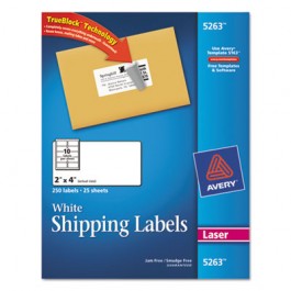 Shipping Labels with TrueBlock Technology, 2 x 4, White, 250/Pack