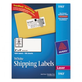 Shipping Labels with TrueBlock Technology, 2 x 4, White, 1000/Box