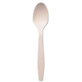Plastic Cutlery, Heavyweight Teaspoon, Crystal Clear, 6"