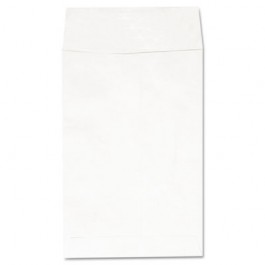 Tyvek Envelope, 6 x 9, White, 100/Box