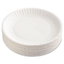 Coated Paper Plates, 9 Inches, White, Round, 100/Pack