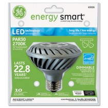 LED Flood Light Bulb, Par 30, 10 Watts