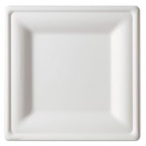 Compostable Sugarcane Dinnerware, 10" Square, White Plate
