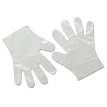 Polyethylene Gloves, Powder-Free, Large, Clear