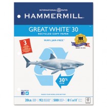 Great White Recycled Copy 3-Hole Punched Ppr, 92 Brightness, 20lb, Ltr, 5000/Ctn