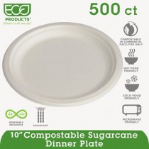 Compostable Sugarcane Dinnerware, 10" Plate, Natural White