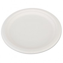 ChampWare Heavyweight Bagasse Dinnerware, Plate, 10", White