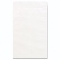 Tyvek Envelope, 10 x 15, White, 100/Box