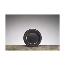 Elite Laminated Foam Dinnerware, Plate, 6" Diameter, Black