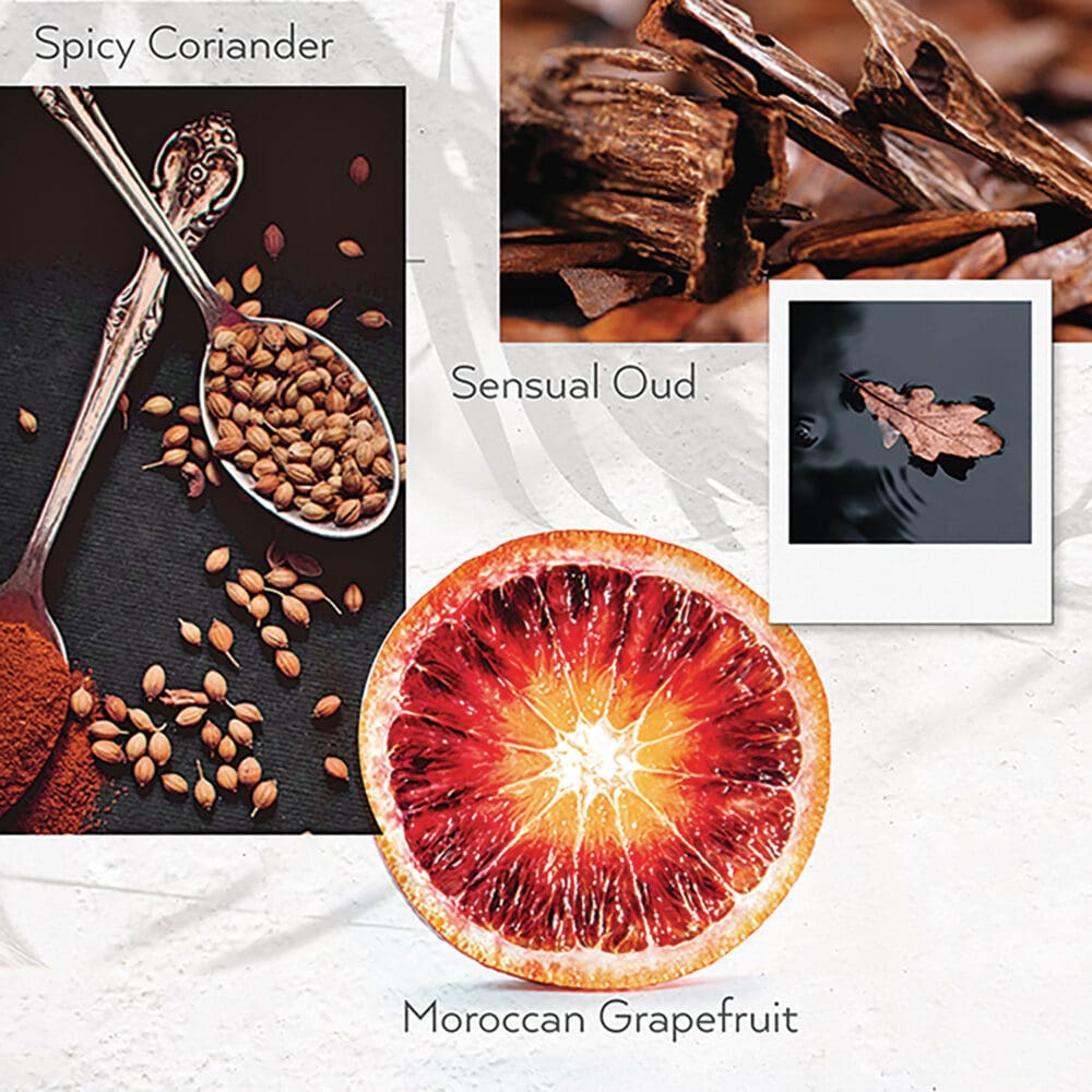 Hand Wash, Warm Oak, 12.2 oz Bottle, 12/Carton - Image 5