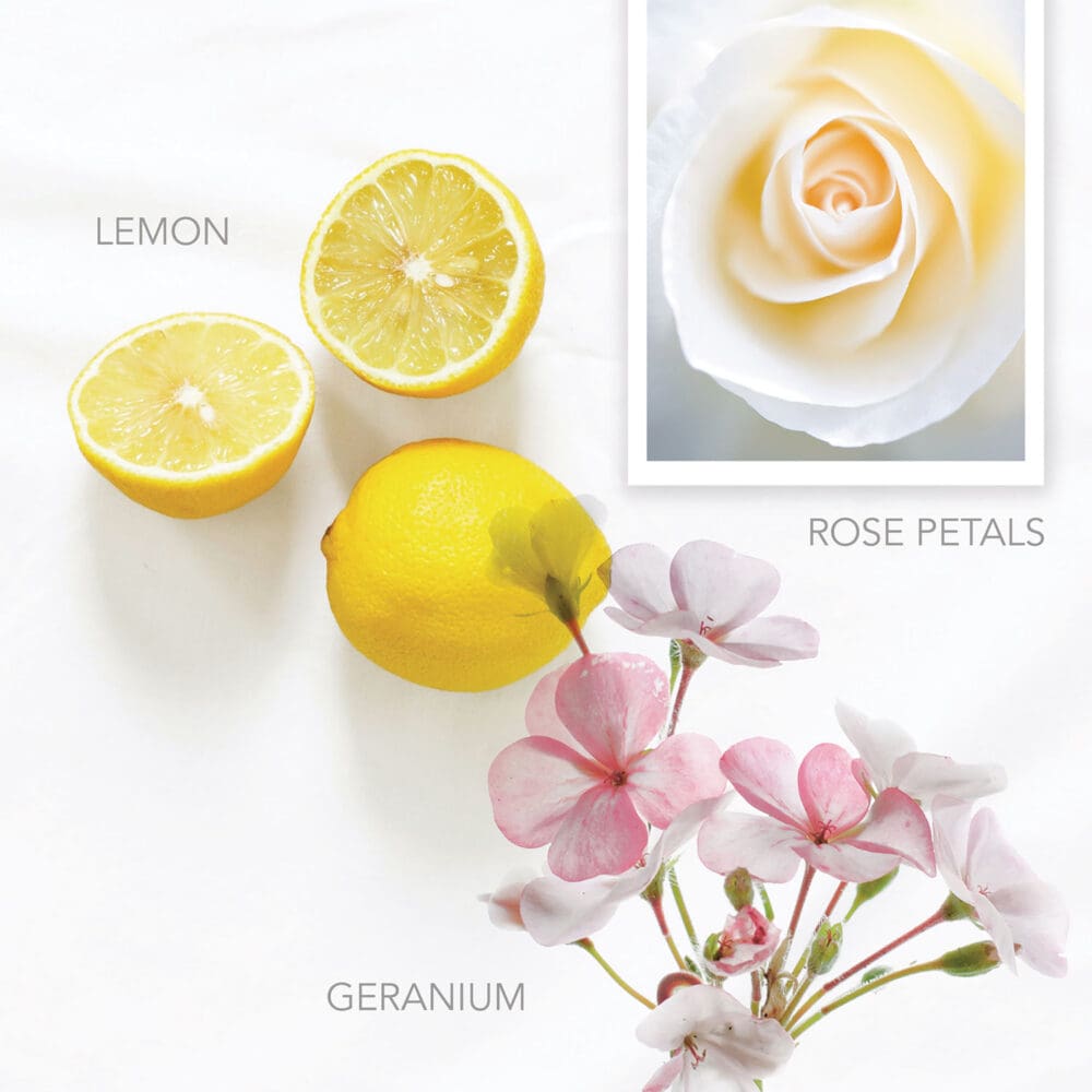 Conditioner, Vibrant Lemon, 12.2 oz Bottle, 12/Carton - Image 4