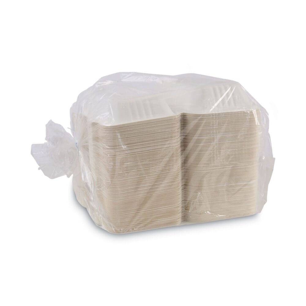 Bagasse Food Containers, Hinged-Lid, 1-Compartment 9 x 6 x 3.19, White, Sugarcane, 125/Sleeve, 2 Sleeves/Carton - Image 9