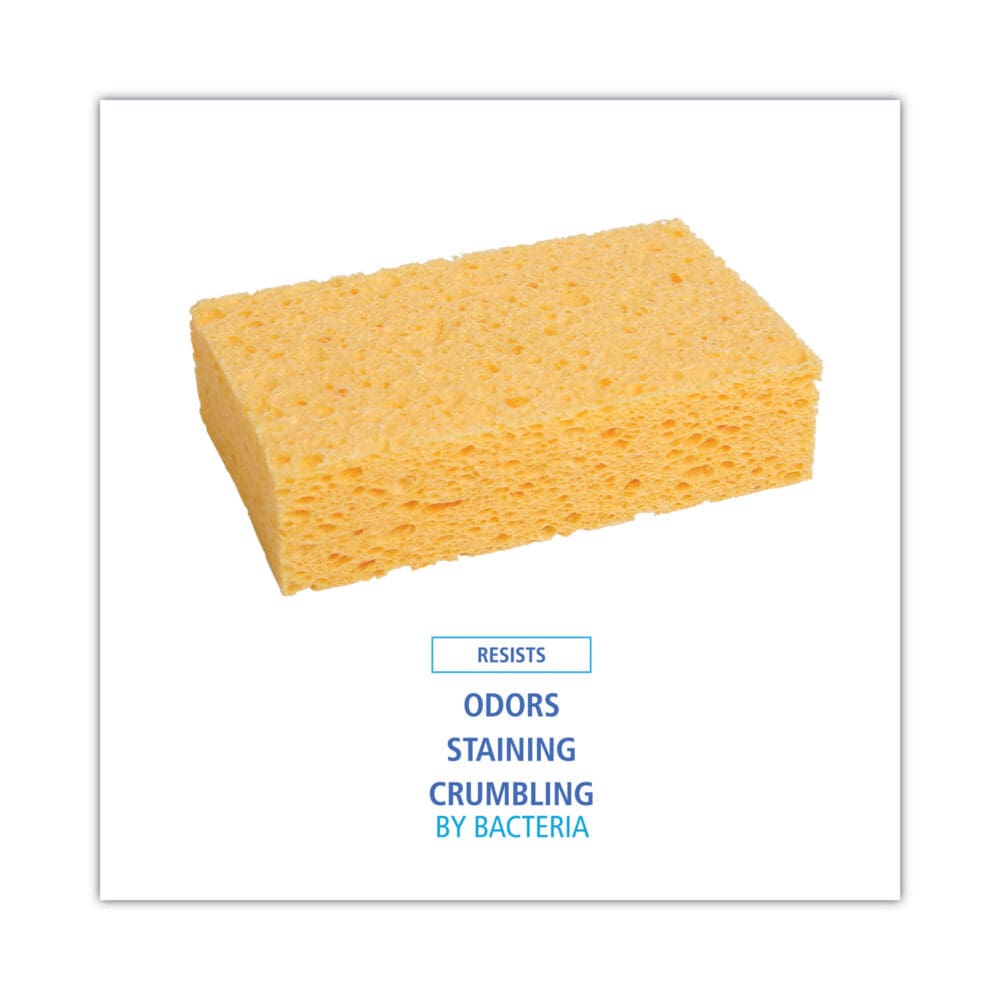 Medium Cellulose Sponge, 3.67 x 6.08, 1.55" Thick, Yellow, 24/Carton - Image 4