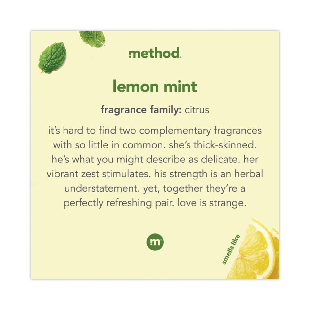 Foaming Hand Wash, Lemon Mint, 10 oz Pump Bottle - Image 2