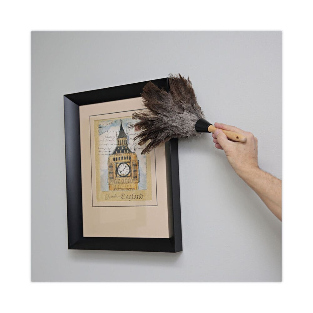 Professional Ostrich Feather Duster, Gray, 14" Length, 6" Handle - Image 4