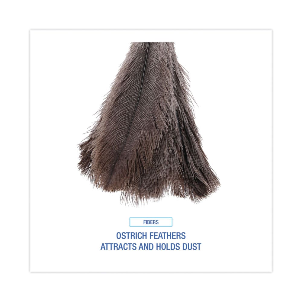Professional Ostrich Feather Duster, Wood Handle, 20" - Image 3