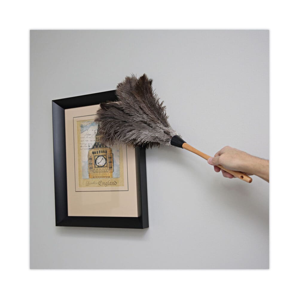 Professional Ostrich Feather Duster, Wood Handle, 20" - Image 4
