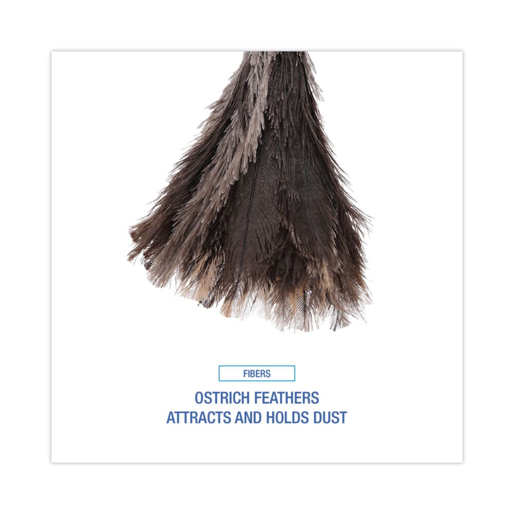 Professional Ostrich Feather Duster, 13" Handle - Image 3