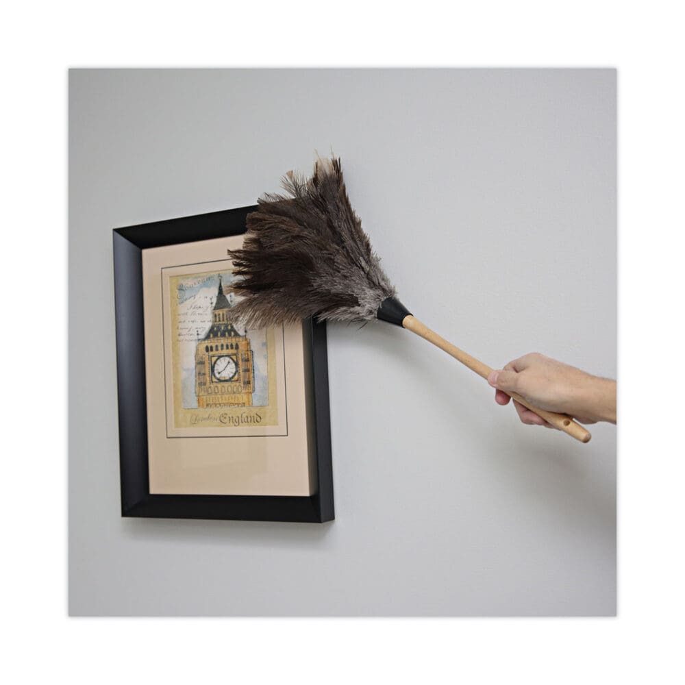 Professional Ostrich Feather Duster, 13" Handle - Image 4