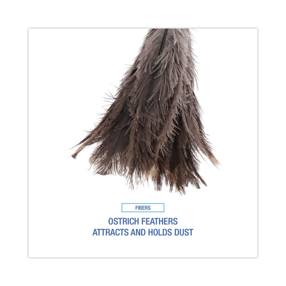 Professional Ostrich Feather Duster, 16" Handle - Image 3