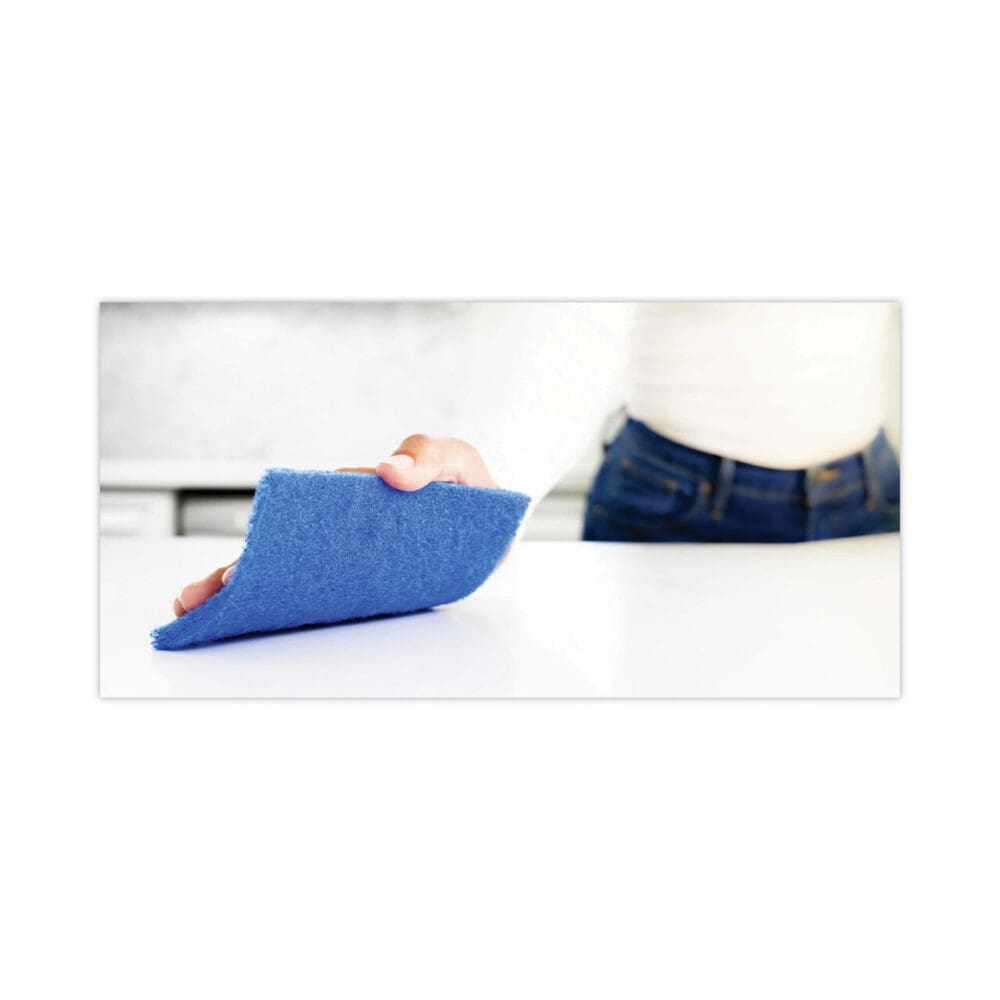 Non-Scratch Scour Pads, Size 3 x 6, Blue, 10/Carton - Image 10