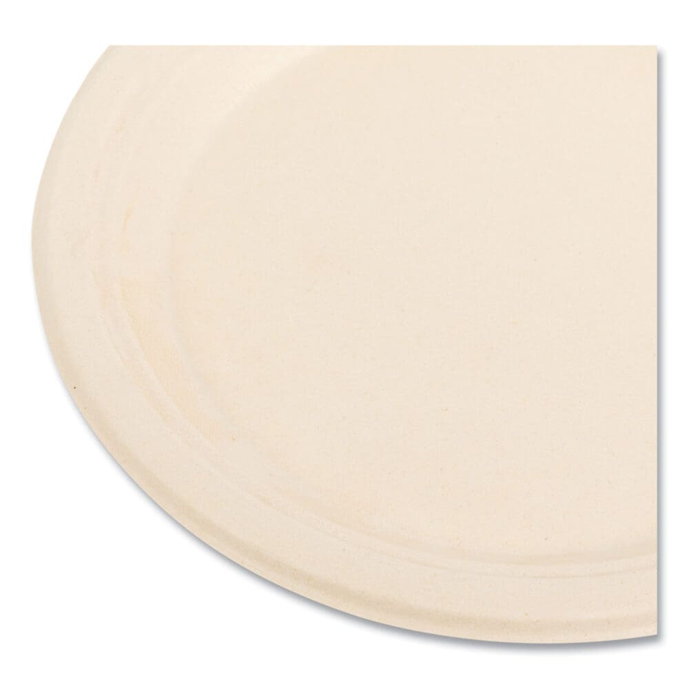 Bagasse PFAS-Free Dinnerware, Plate, 9" dia, Tan, 500/Carton - Image 2
