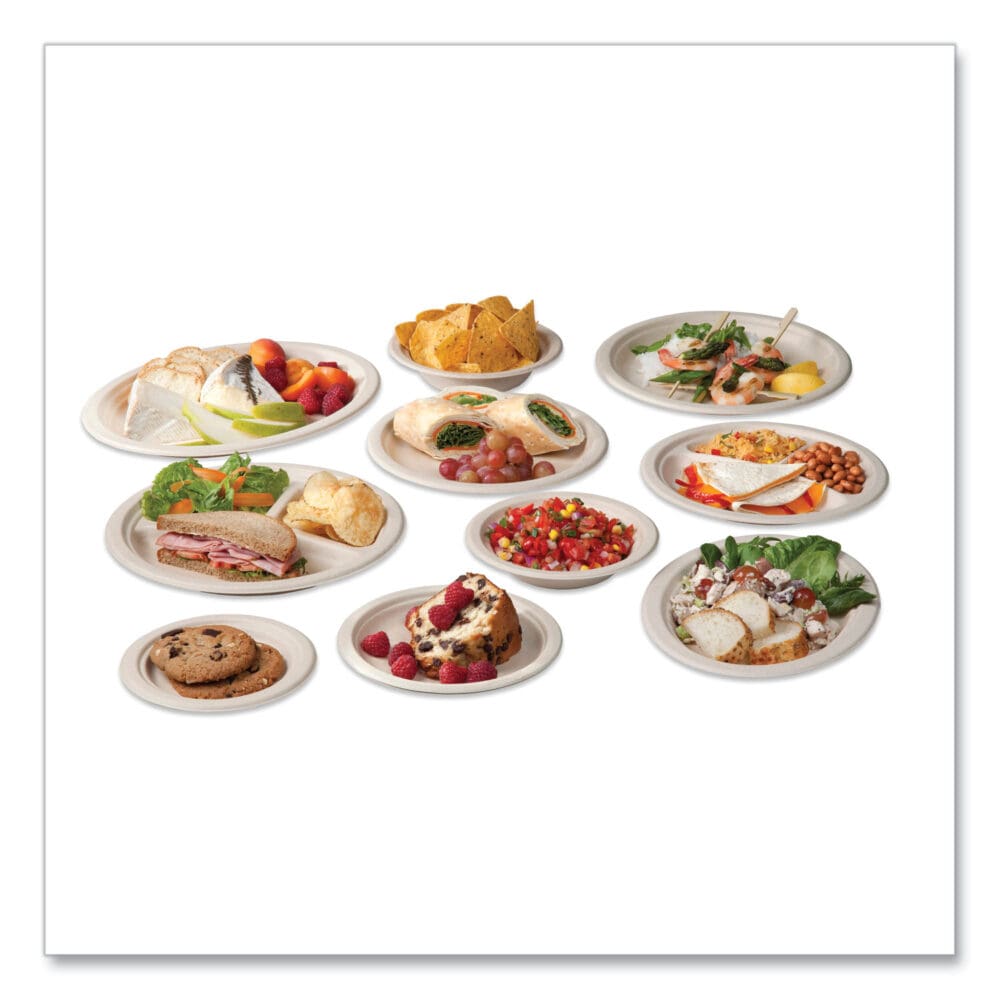 Nourish Molded Fiber Tableware, Plate, 10" Diameter, White, 500/Carton - Image 3