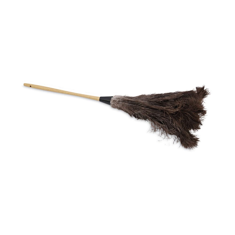Professional Ostrich Feather Duster, 16" Handle